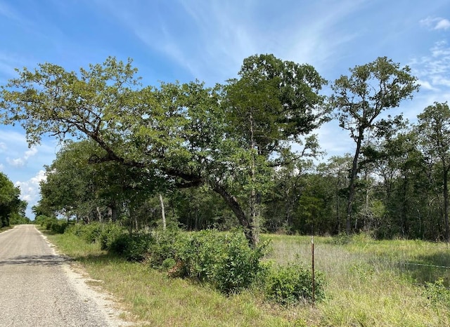 TBD High Crossing Rd Unit T7 T8, Smithville, TX 78957
