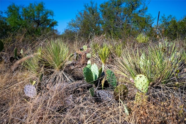 11865 W Ranch Road 152, Llano, TX 78643 - photo 20