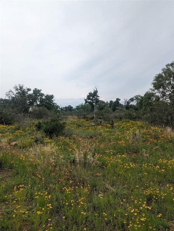 11865 W Ranch Road 152, Llano, TX 78643 - photo 30