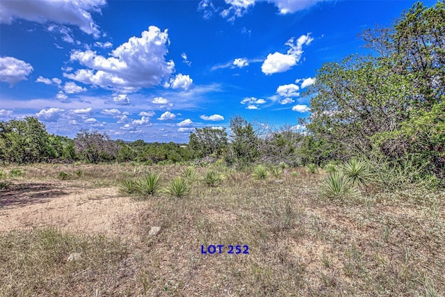 Listing photo 2 for LOT252 Briarway Dr, Granite Shoals TX 78654