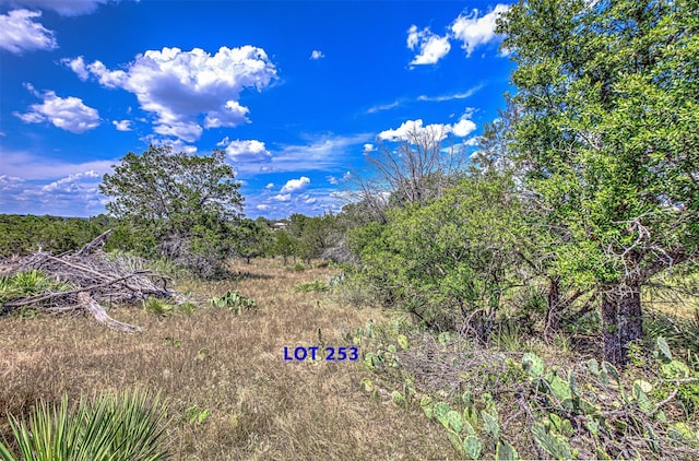 Listing photo 3 for LOT252 Briarway Dr, Granite Shoals TX 78654