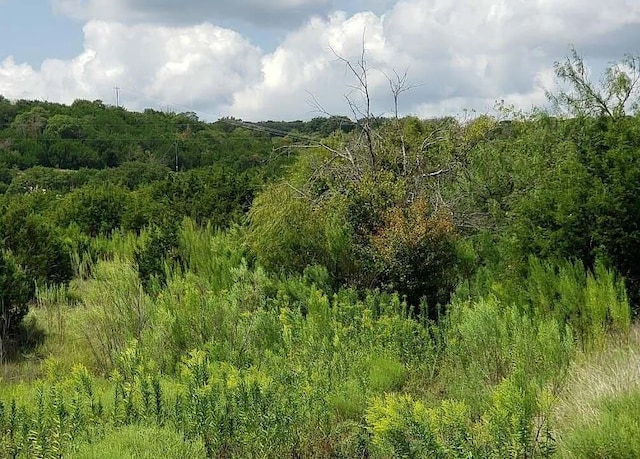 Listing photo 3 for 49 County Road 3900, Lampasas TX 76550