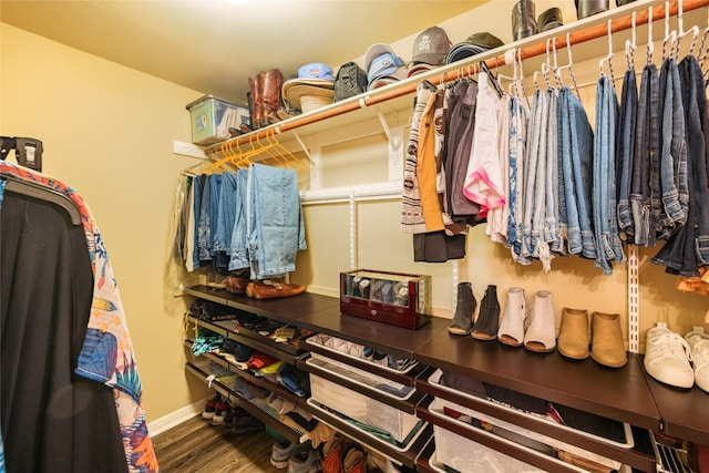 walk in closet with hardwood / wood-style flooring