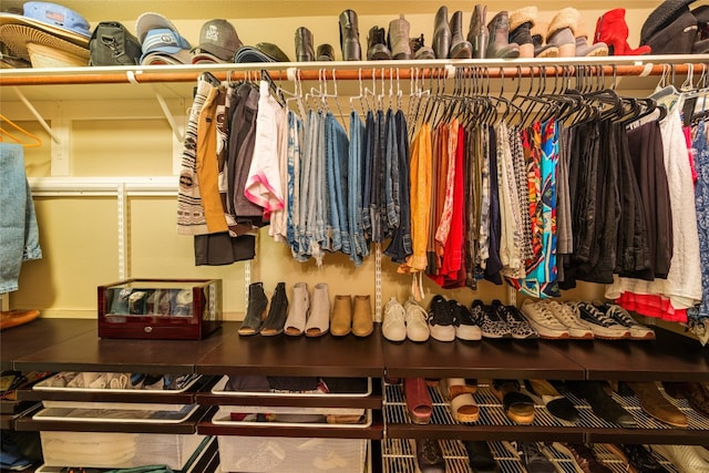 view of walk in closet