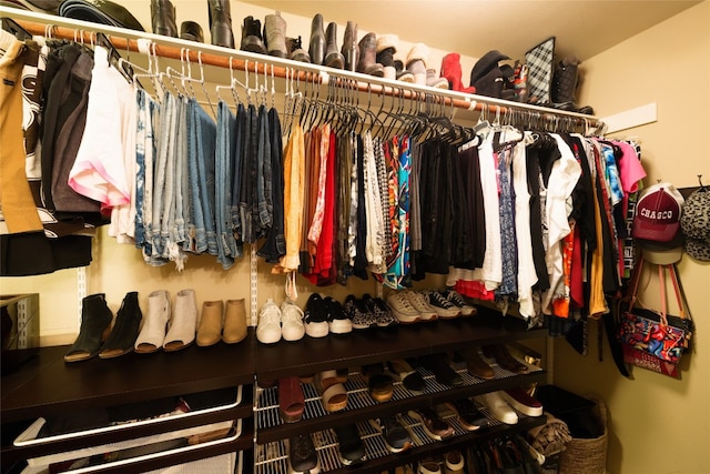 view of spacious closet