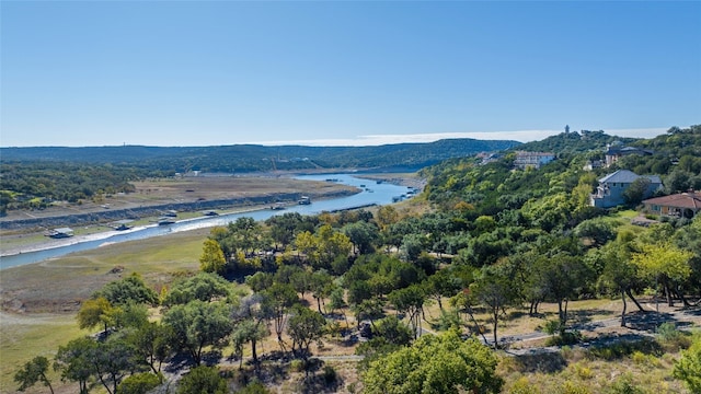 Listing photo 2 for 17906 Crystal Cv, Jonestown TX 78645