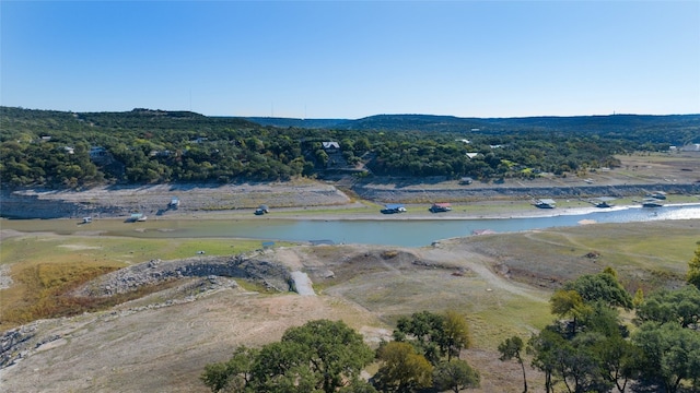 17906 Crystal Cv, Jonestown, TX 78645 - photo 10