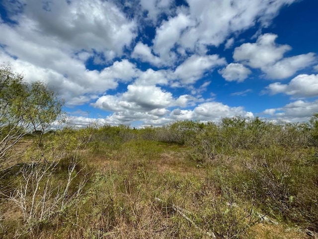 775LOT4 Thompson Rd, Dale, TX 78616 - photo 8