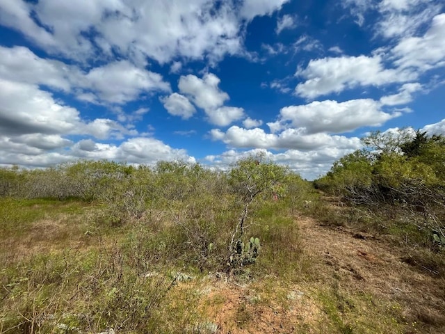775LOT4 Thompson Rd, Dale, TX 78616 - photo 9