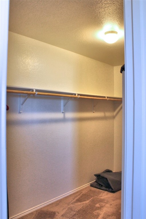 spacious closet featuring carpet floors