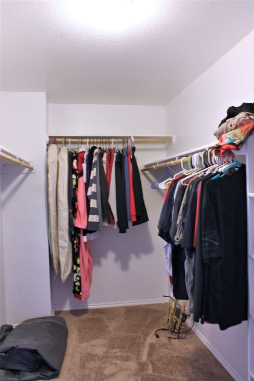 spacious closet featuring carpet flooring