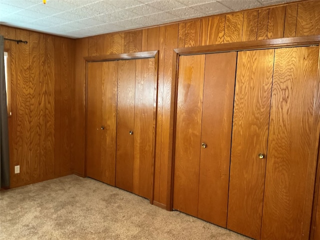 interior space featuring wooden walls and light colored carpet