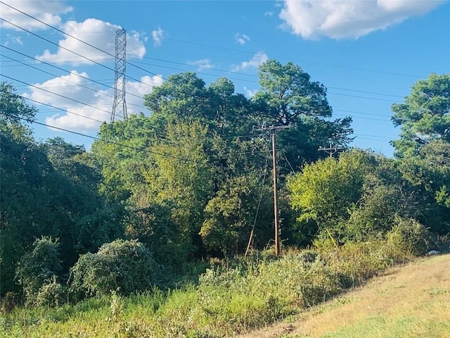TBD N State Highway 95 Unit 2.010, Bastrop, TX 78602 - photo 4