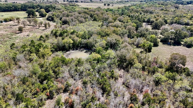 Listing photo 3 for TRACT4 Maynard Hallmark Rd, Waelder TX 78959