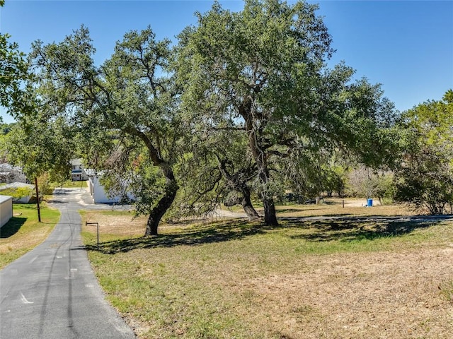 view of property's community featuring a yard