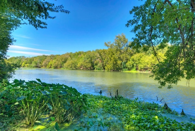 1332 Fm 969, Bastrop, TX 78602 - water view featuring a forest