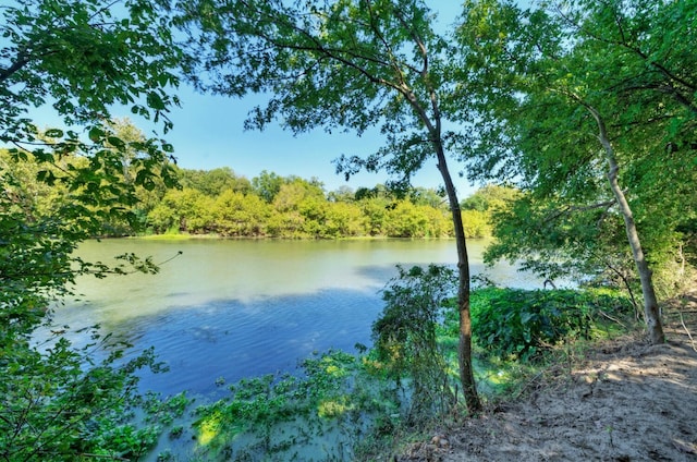 1332 Fm 969, Bastrop, TX 78602 - water view with a heavily wooded area