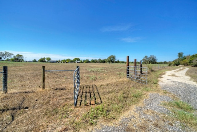 view of yard featuring a rural view