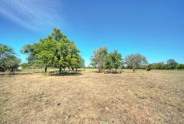 view of yard featuring a rural view