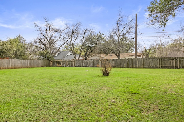 view of yard