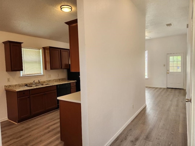 kitchen with sink, dishwasher, a textured ceiling, and hardwood / wood-style flooring