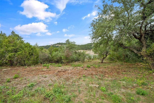 17409 E Darleen Dr, Leander, TX 78641 - photo 6