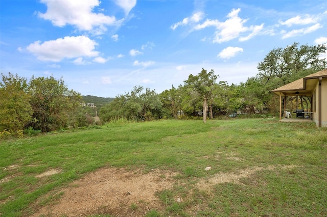 17409 E Darleen Dr, Leander, TX 78641 - photo 24