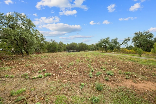 17409 E Darleen Dr, Leander, TX 78641 - photo 25