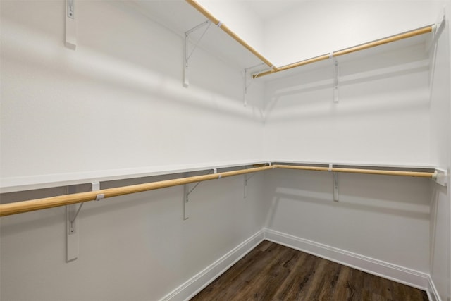 spacious closet featuring dark hardwood / wood-style flooring