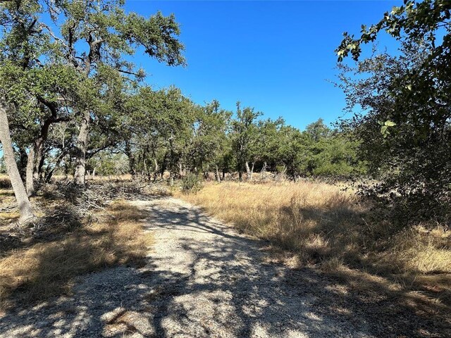 22601 Ranch Road 12, Dripping Springs, TX 78620 - photo 10