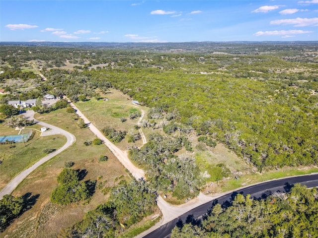 22601 Ranch Road 12, Dripping Springs TX, 78620 land for sale