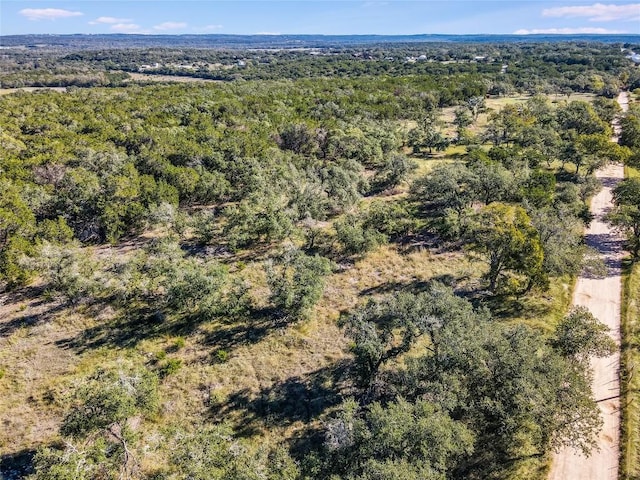 22601 Ranch Road 12, Dripping Springs, TX 78620 - photo 13
