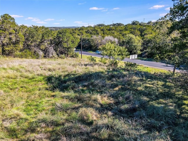22601 Ranch Road 12, Dripping Springs, TX 78620 - photo 21