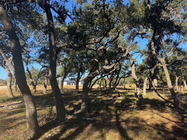 22601 Ranch Road 12, Dripping Springs, TX 78620 - photo 19