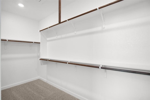 walk in closet with carpet