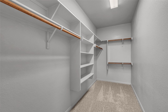 spacious closet with carpet floors