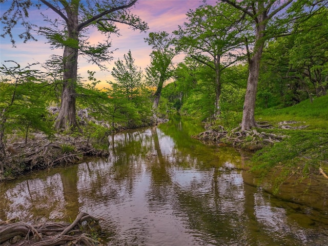 property view of water