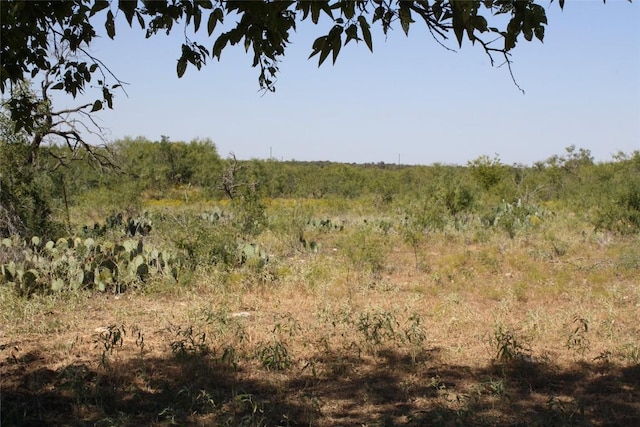 250 County Road 216, Jarrell, TX 76537 - photo 15