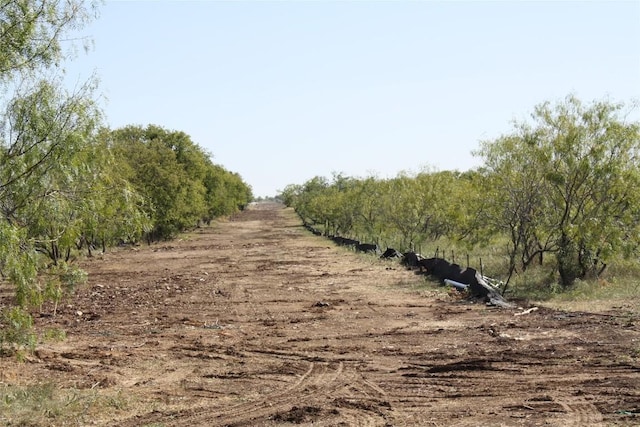 250 County Road 216, Jarrell, TX 76537 - photo 20