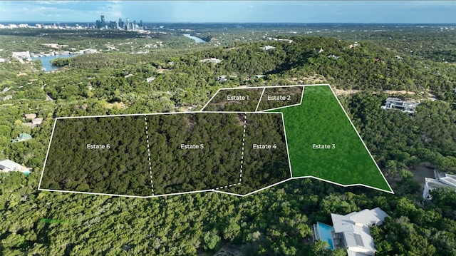 6 Martelli Ln, Austin, TX 78746 - photo 6