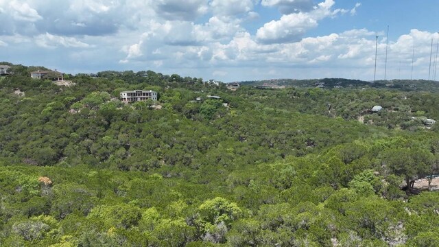 6 Martelli Ln, Austin, TX 78746 - photo 7