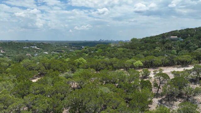 6 Martelli Ln, Austin, TX 78746 - photo 10