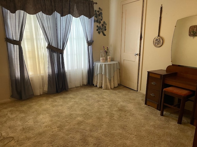 misc room with light colored carpet and a wealth of natural light