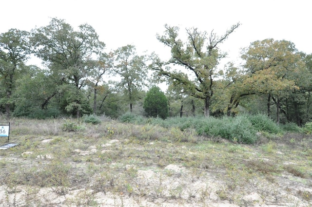 TBD Oakview Lane, Thrall TX, 76578 land for sale