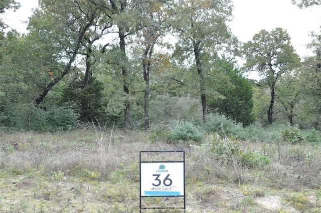 Listing photo 2 for TBD Oakview Lane, Thrall TX 76578