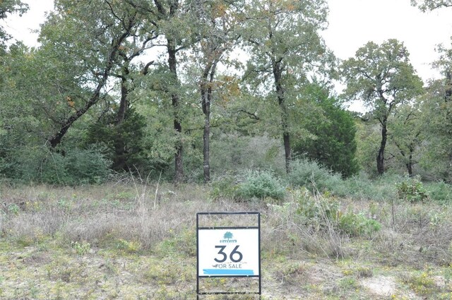 TBD Oakview Lane, Thrall, TX 76578 - photo 2