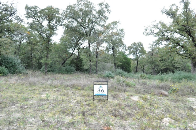 Listing photo 3 for TBD Oakview Lane, Thrall TX 76578