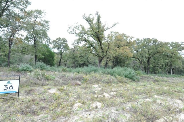 TBD Oakview Lane, Thrall, TX 76578 - photo 4