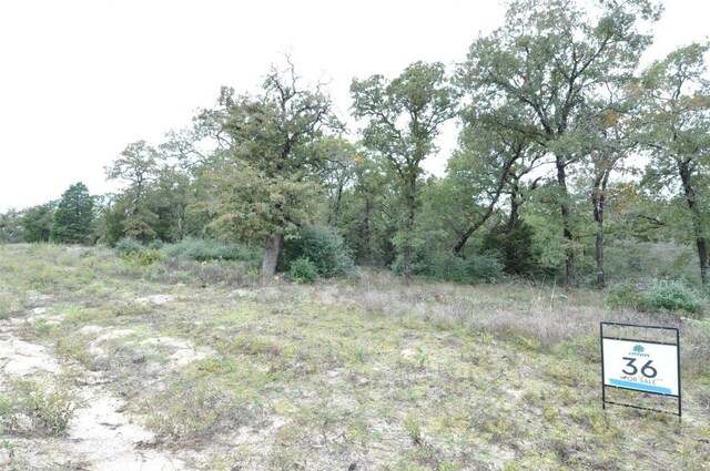 TBD Oakview Lane, Thrall, TX 76578 - photo 5
