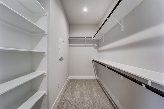 spacious closet featuring light colored carpet